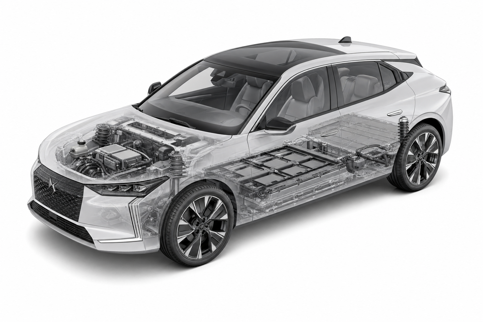 Przekrój modelu DS 4.