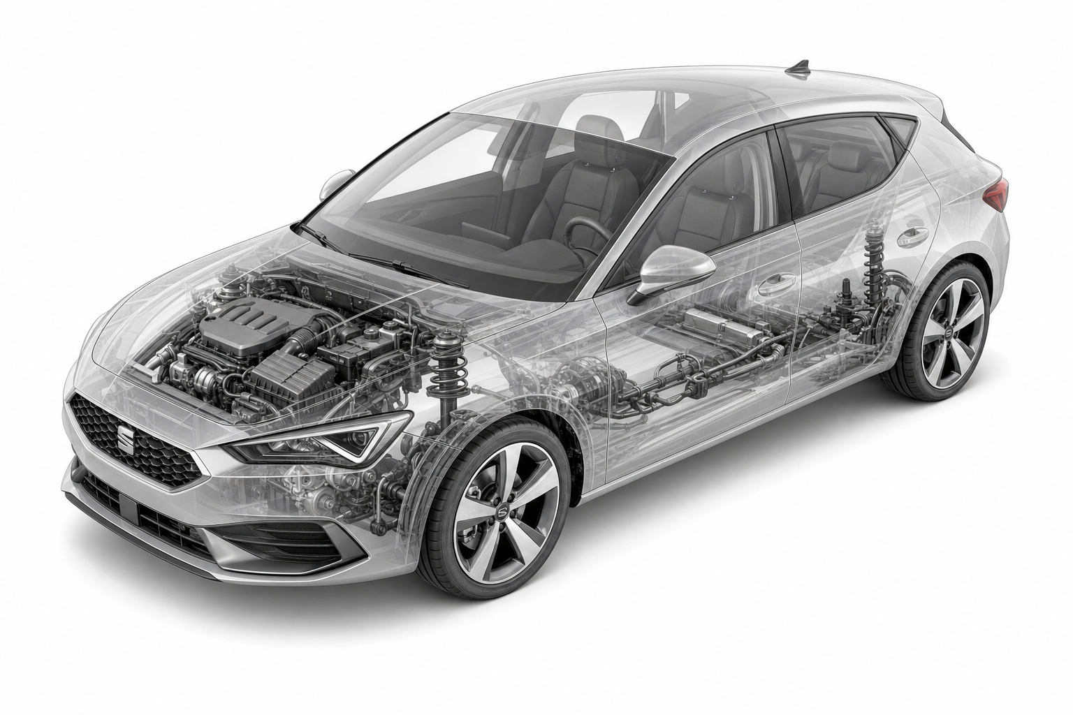 Przekrój modelu Seat Leon.