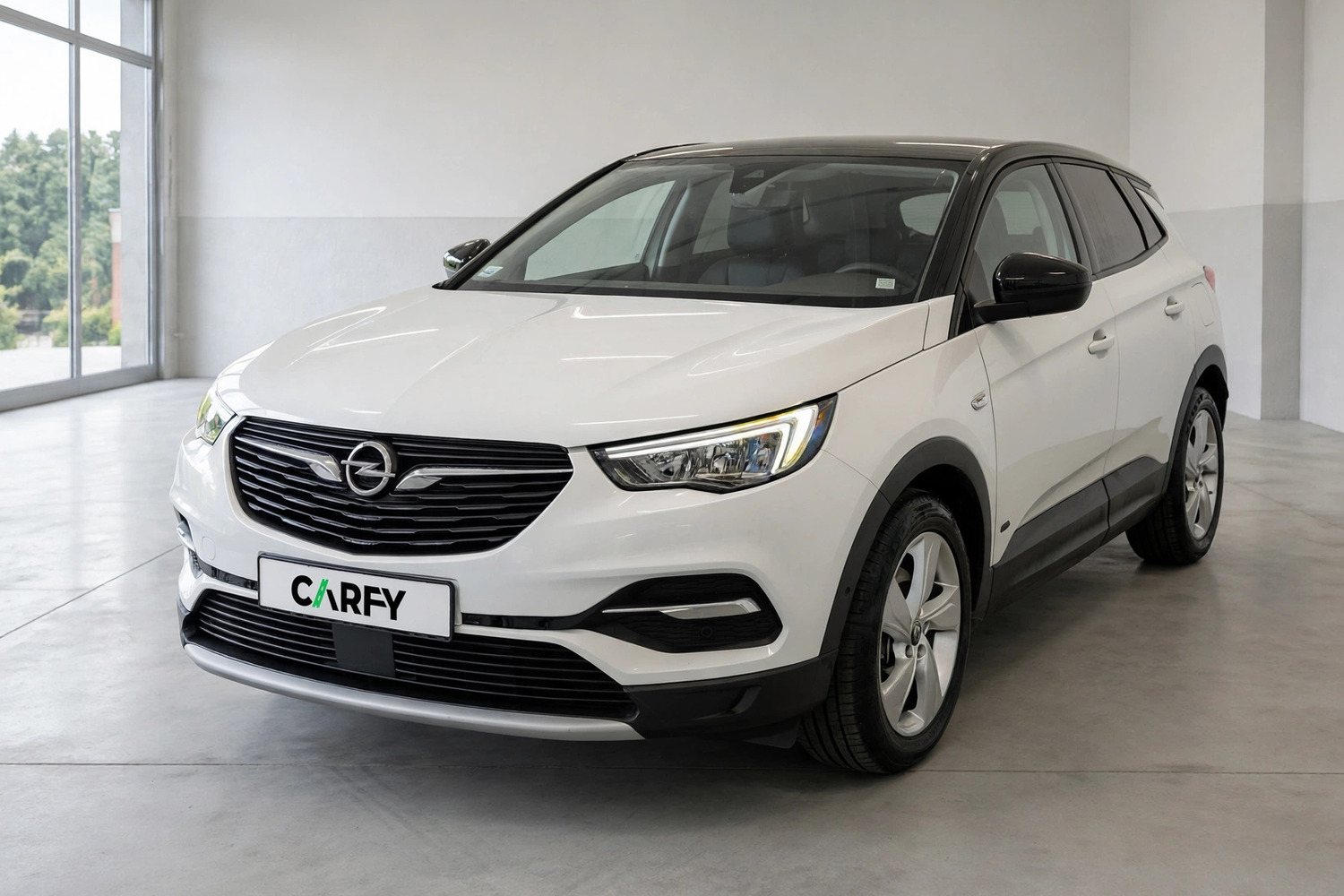 Opel Grandland X, widok 1