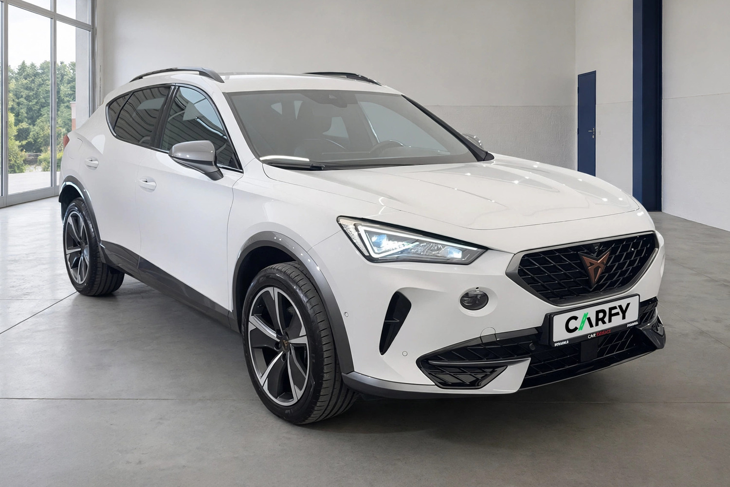 Cupra Formentor 2.0 TDI 4Drive DSG, widok 1