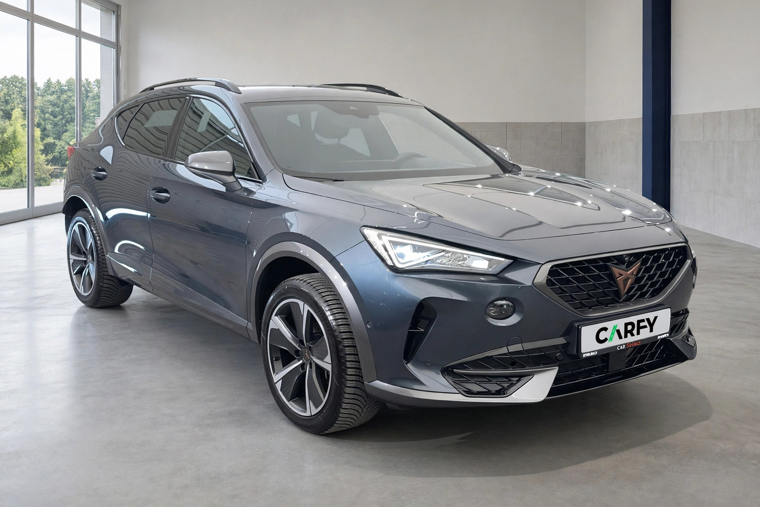 Cupra Formentor 2.0 TSI 4Drive DSG, widok 1