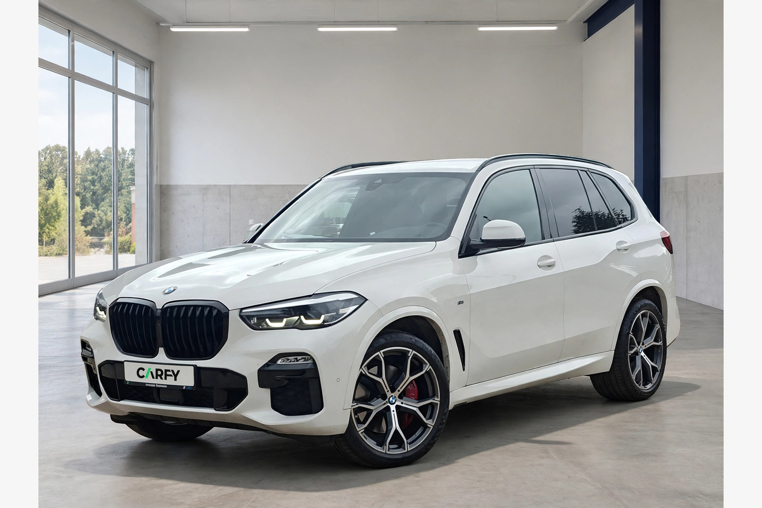 BMW X5 xDrive30d mHEV sport, вид 1