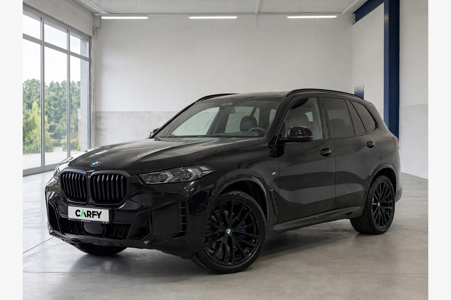BMW X5, вид 1