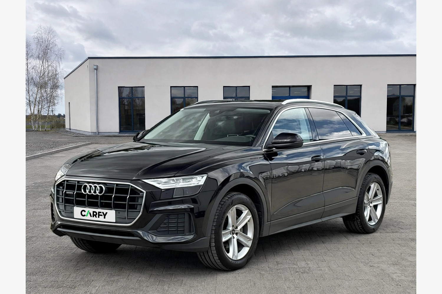 Audi Q8 45 TDI quattro tiptronic, вид 1