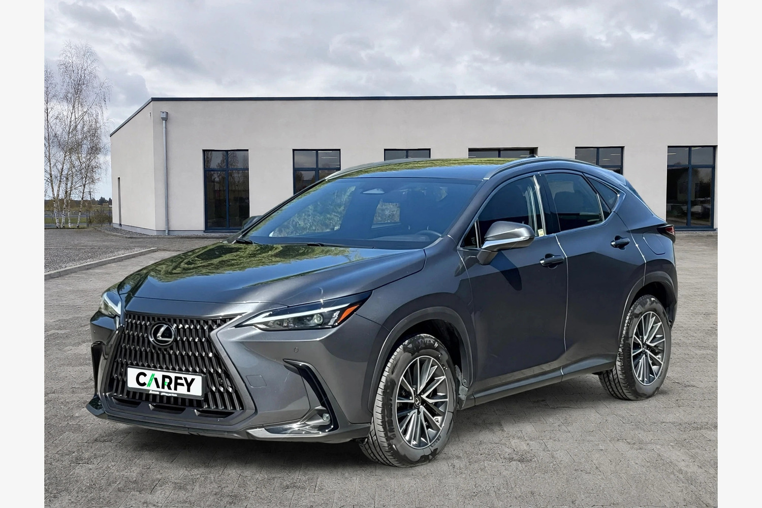 Lexus NX, вид 1