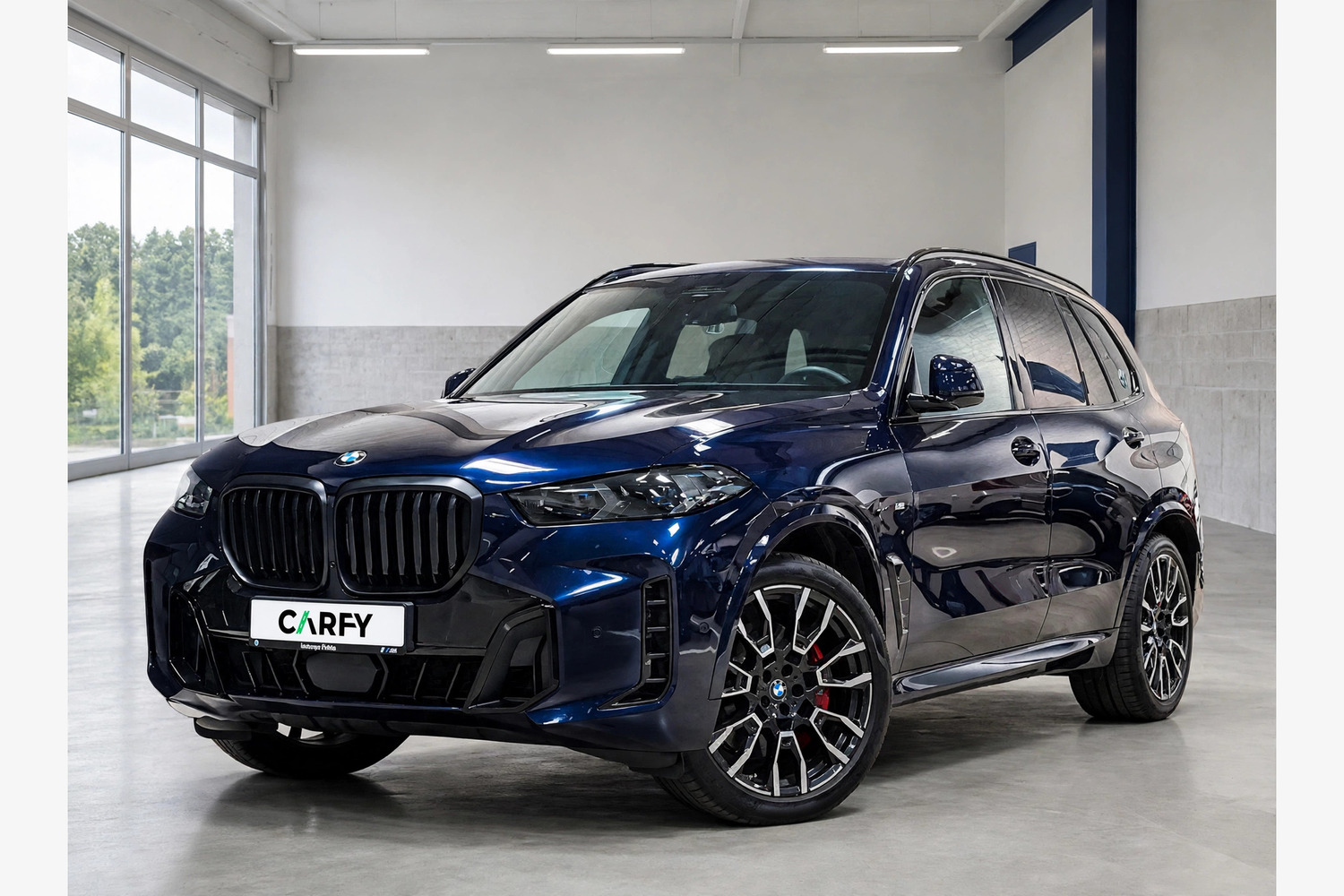 BMW X5, вид 1