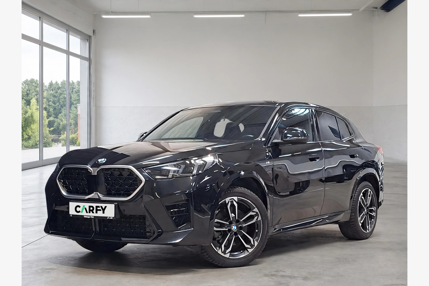 BMW X2, Ansicht 1