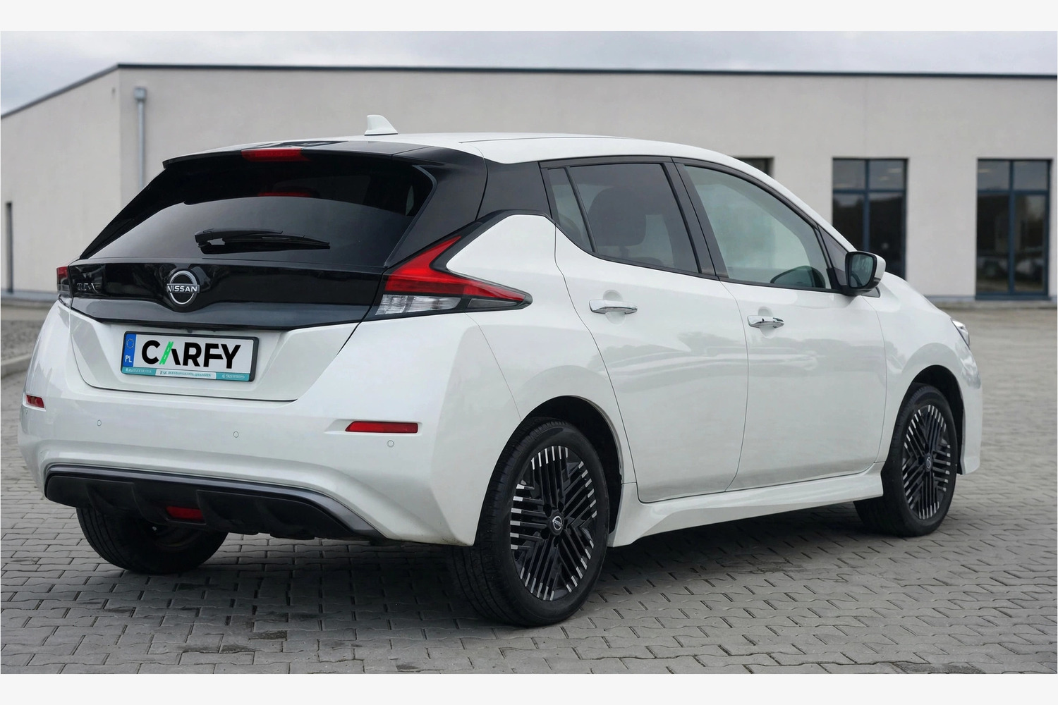 Nissan Leaf, вид 1