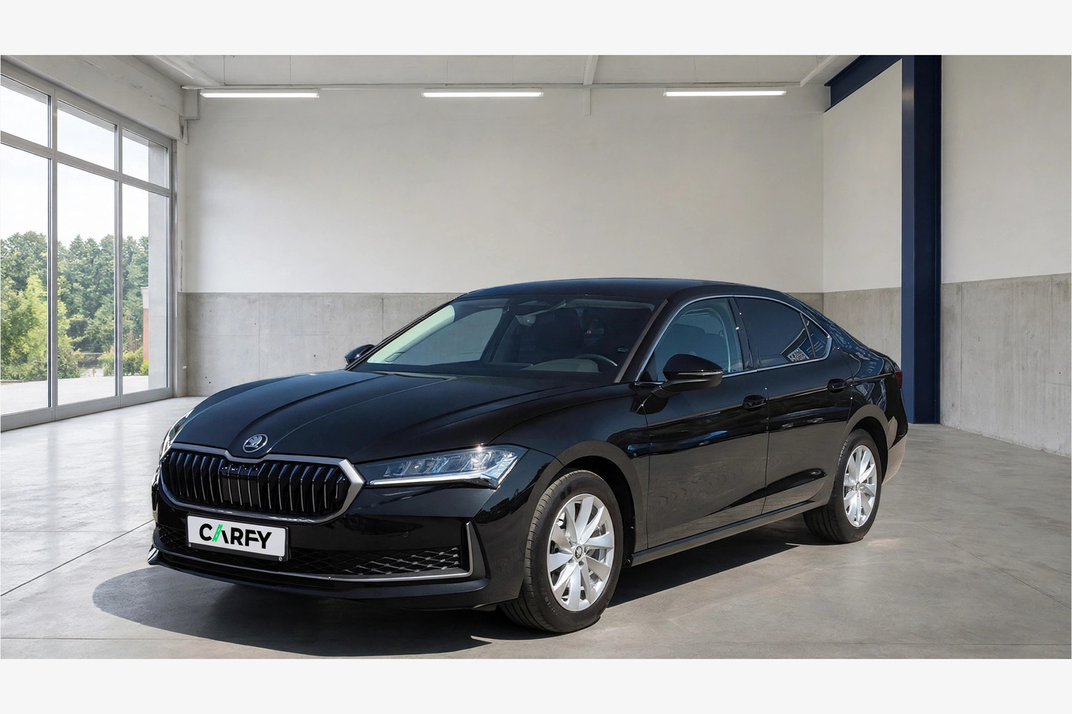 Skoda Superb 2.0 TSI Selection DSG, widok 1