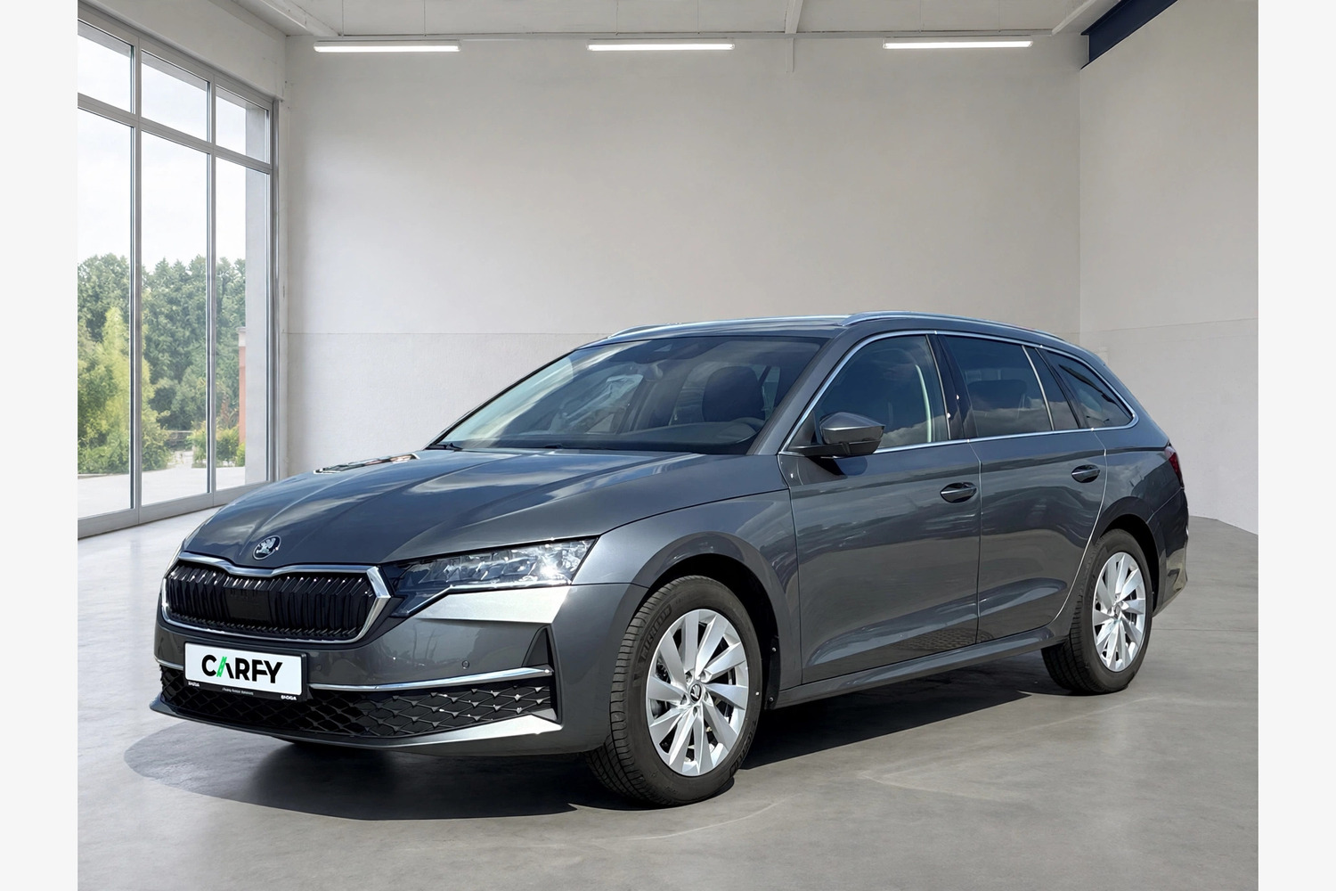 Skoda Octavia Selection, widok 1