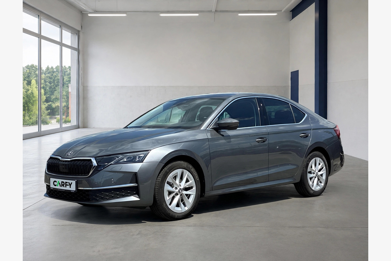 Skoda Octavia, widok 1