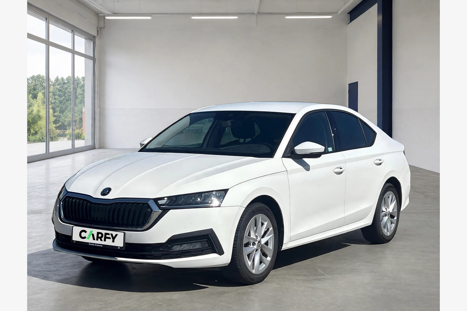 Skoda Octavia, widok 1