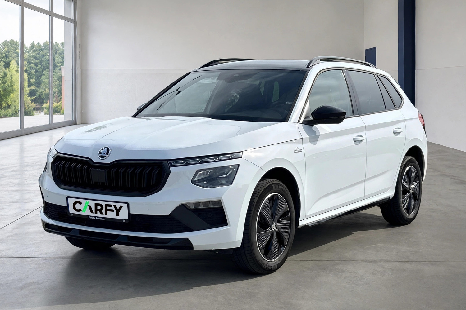 Skoda Kamiq, вигляд 1