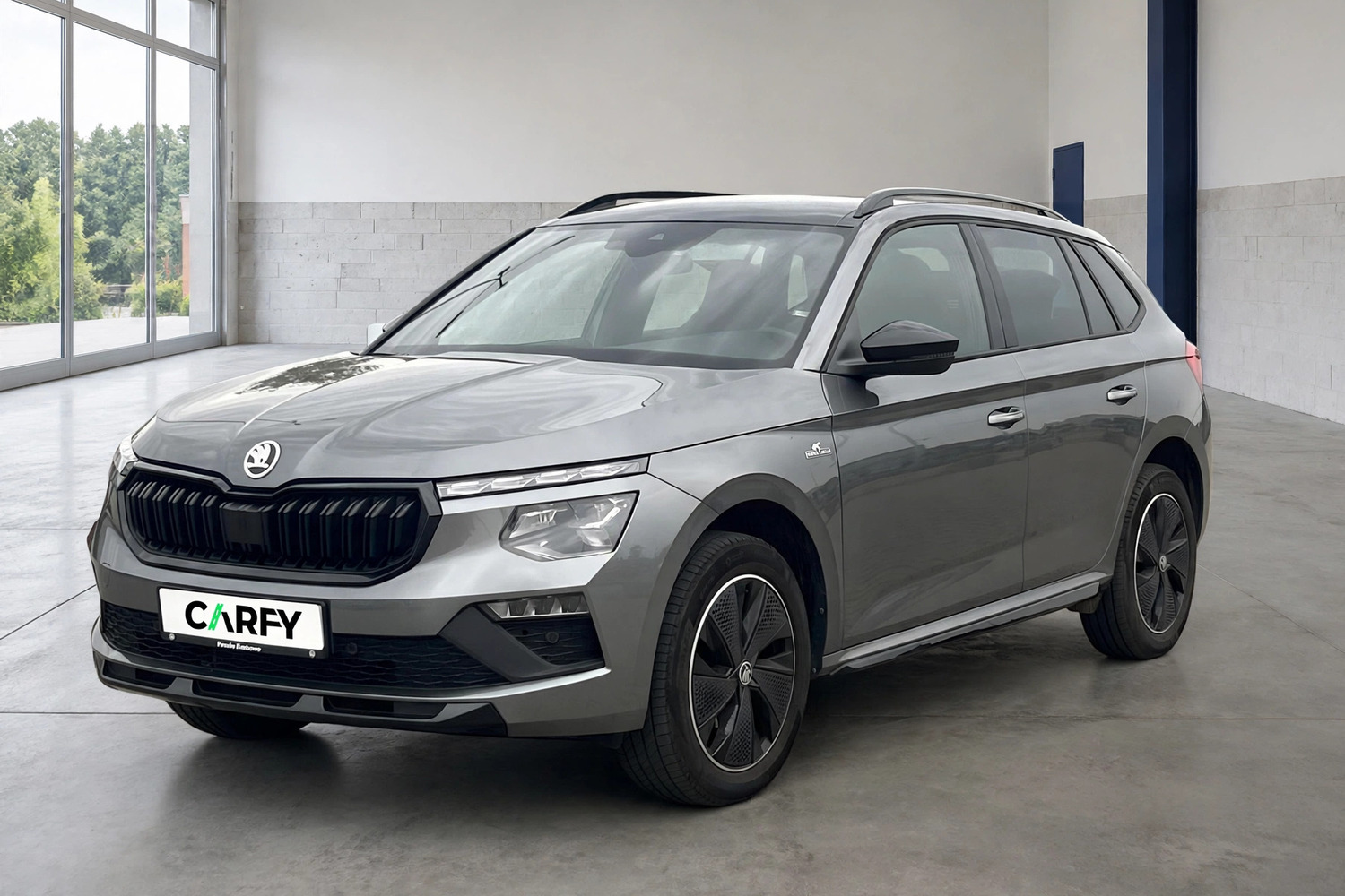 Skoda Kamiq, вигляд 1