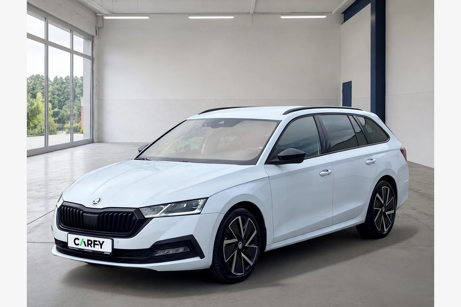 Skoda Octavia Style, widok 1