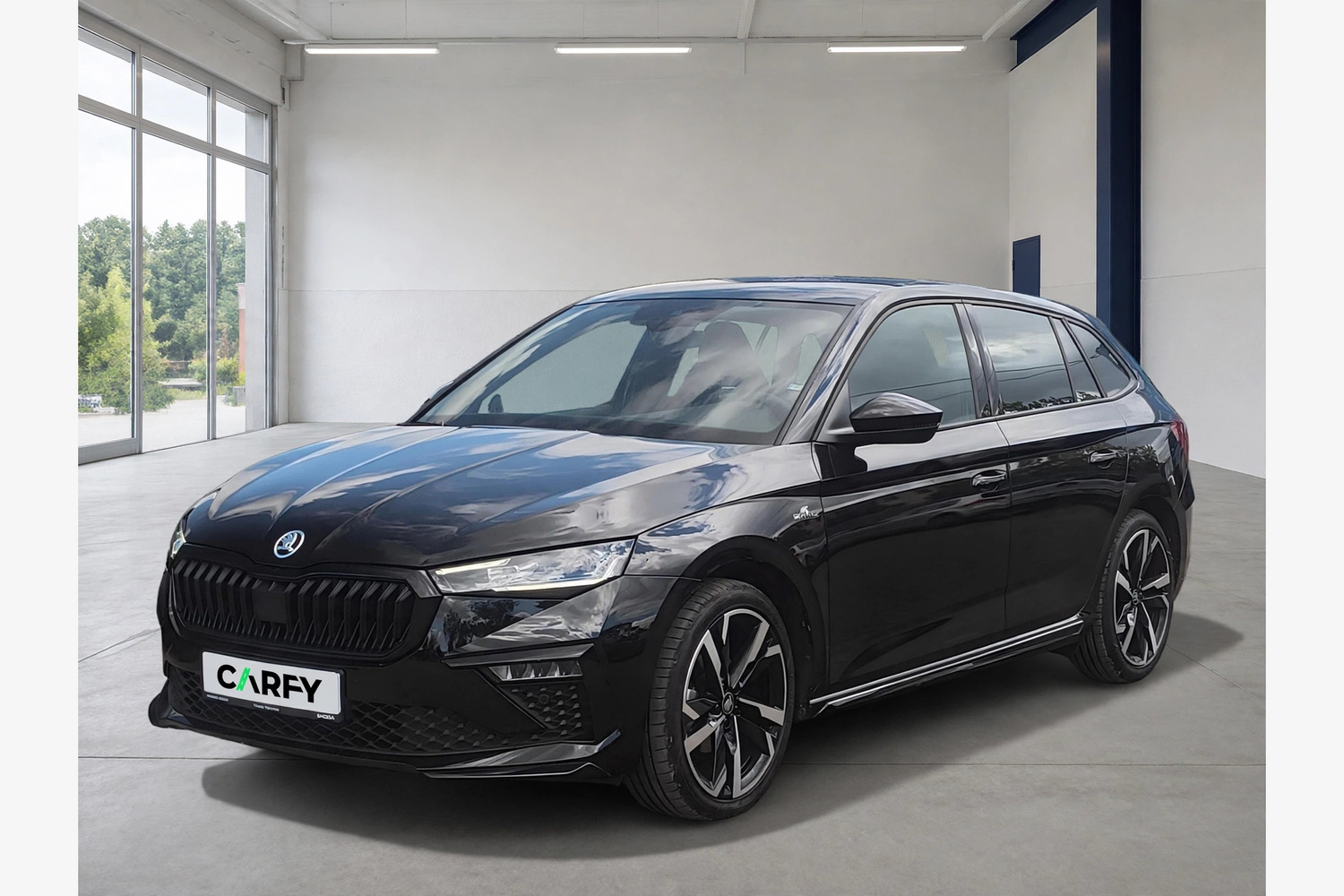 Skoda Scala Monte Carlo, widok 1