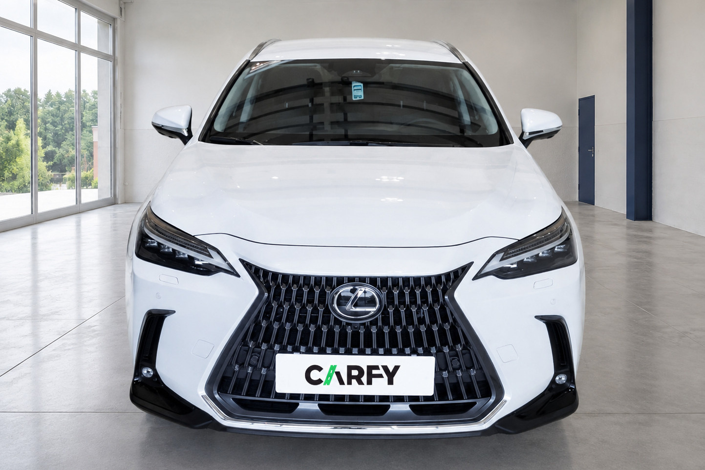 Lexus NX 450h+ Omotenashi AWD, widok 1