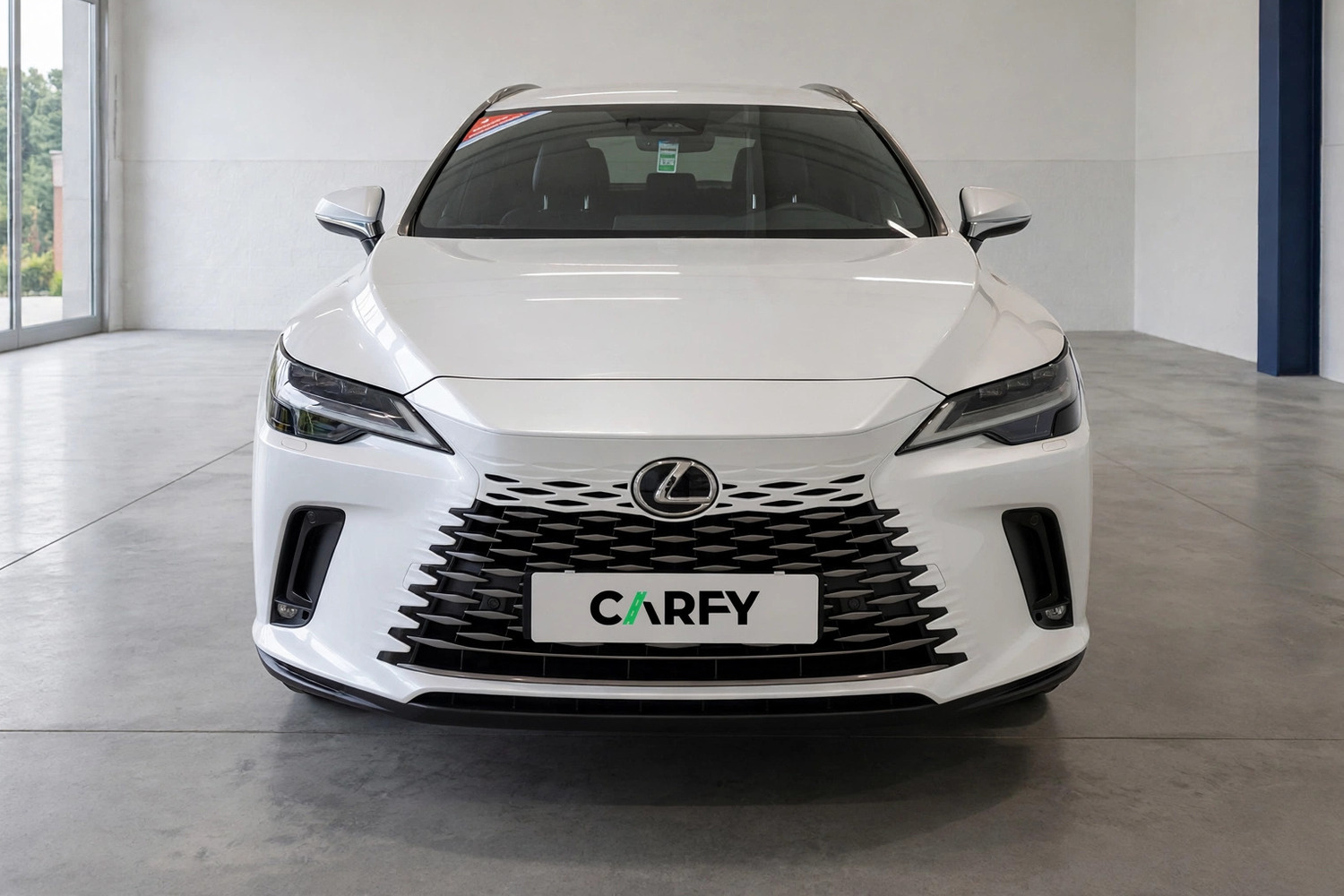 Lexus RX 450h+ Prestige, widok 1