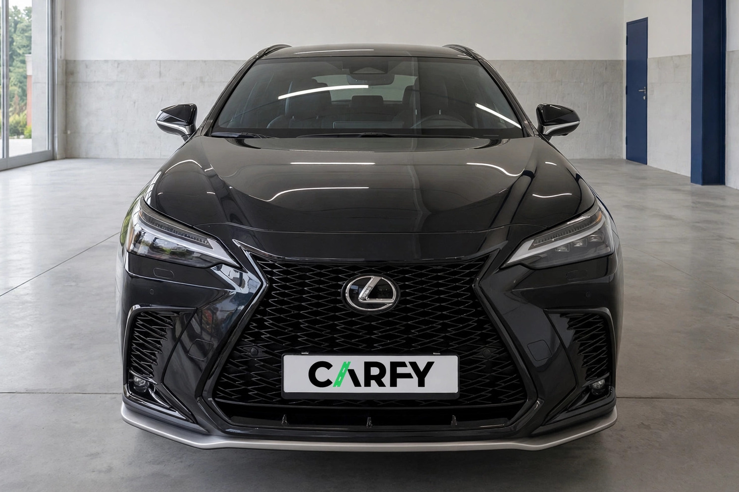 Lexus NX 350h F Sport AWD, вид 1