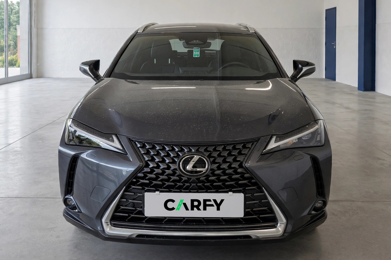 Lexus UX 300h Business, widok 1