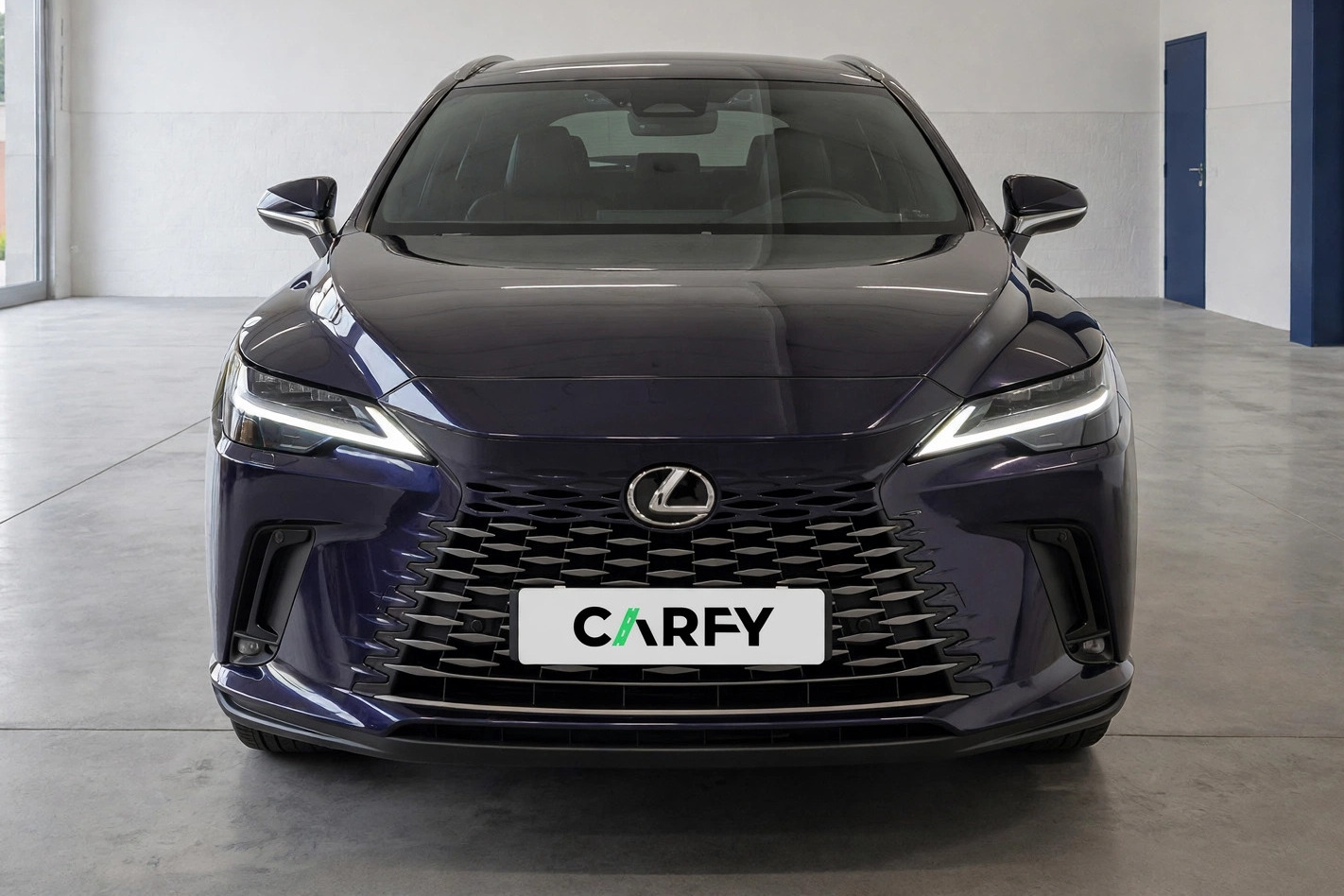 Lexus RX, view 1