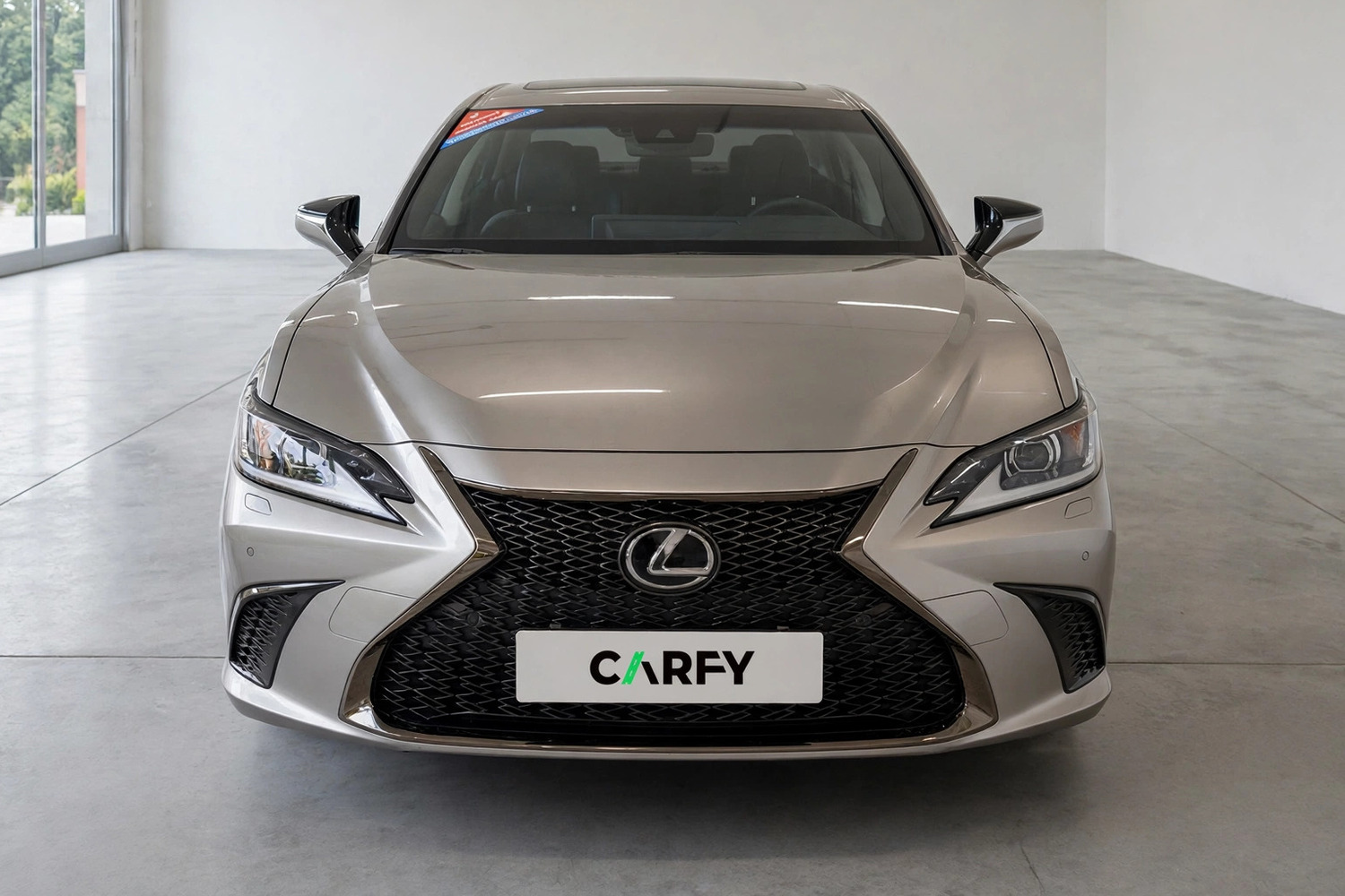 Lexus ES 300h F Sport Design, widok 1