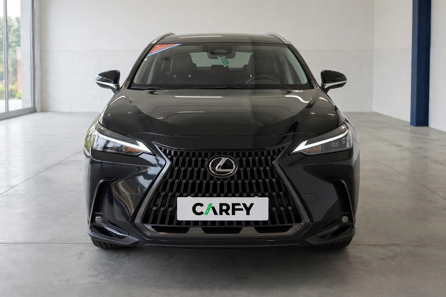 Lexus NX 350h Prestige AWD, вид 1