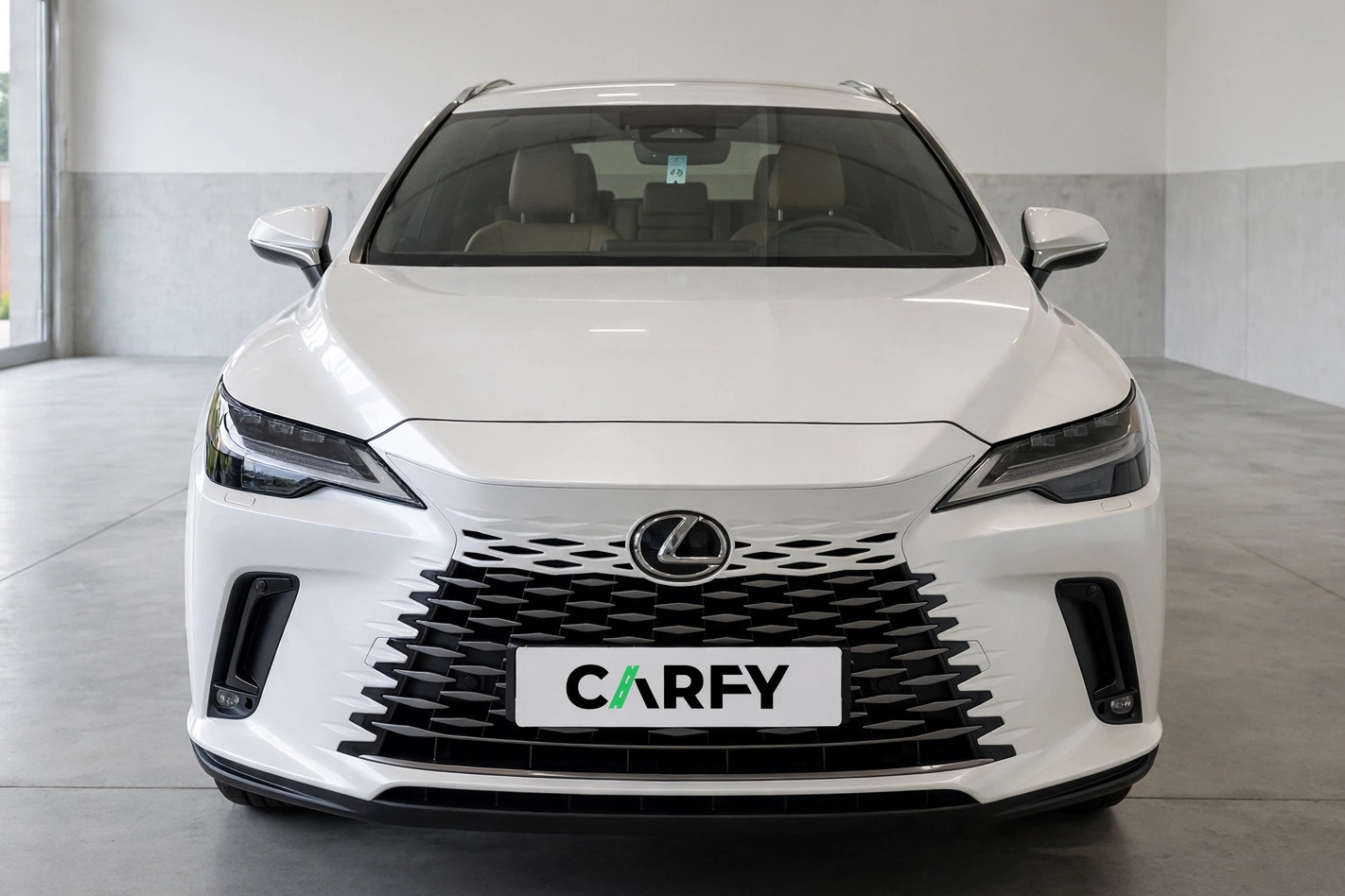 Lexus RX 450h+ Prestige, view 1
