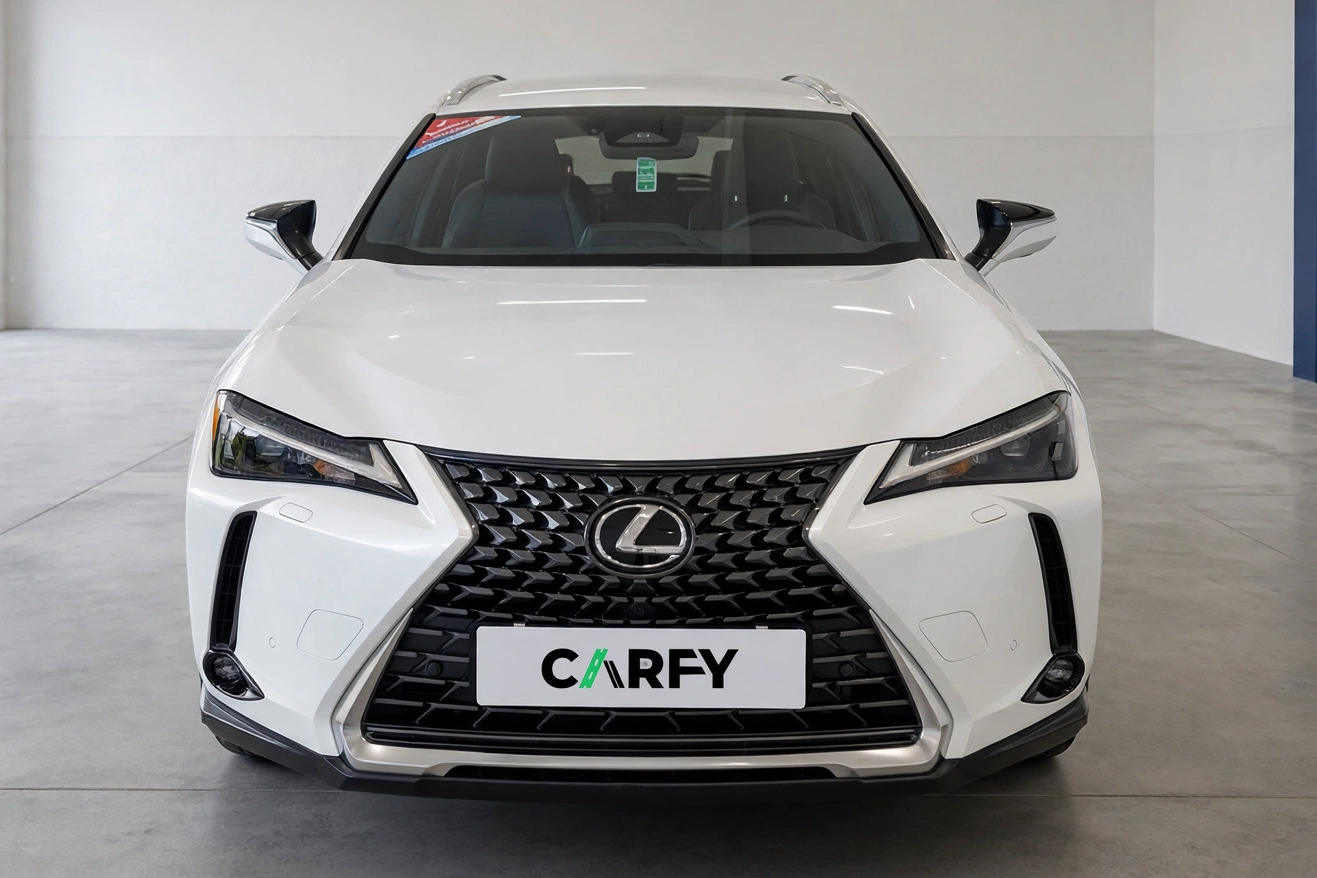 Lexus UX 300h Business, widok 1