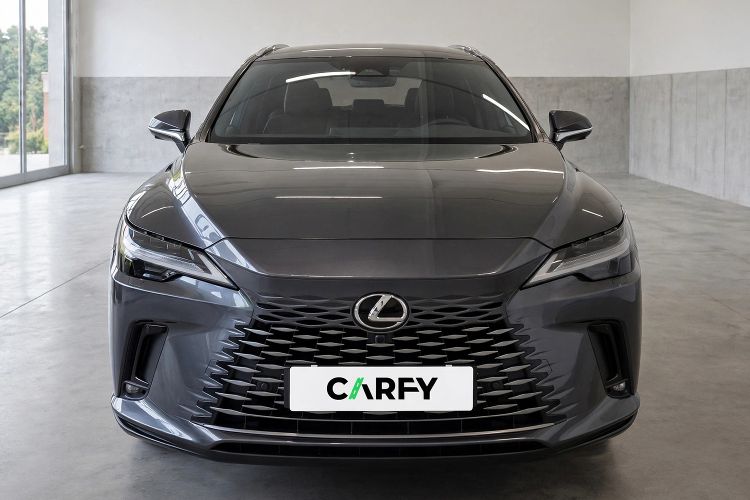 Lexus RX, widok 1