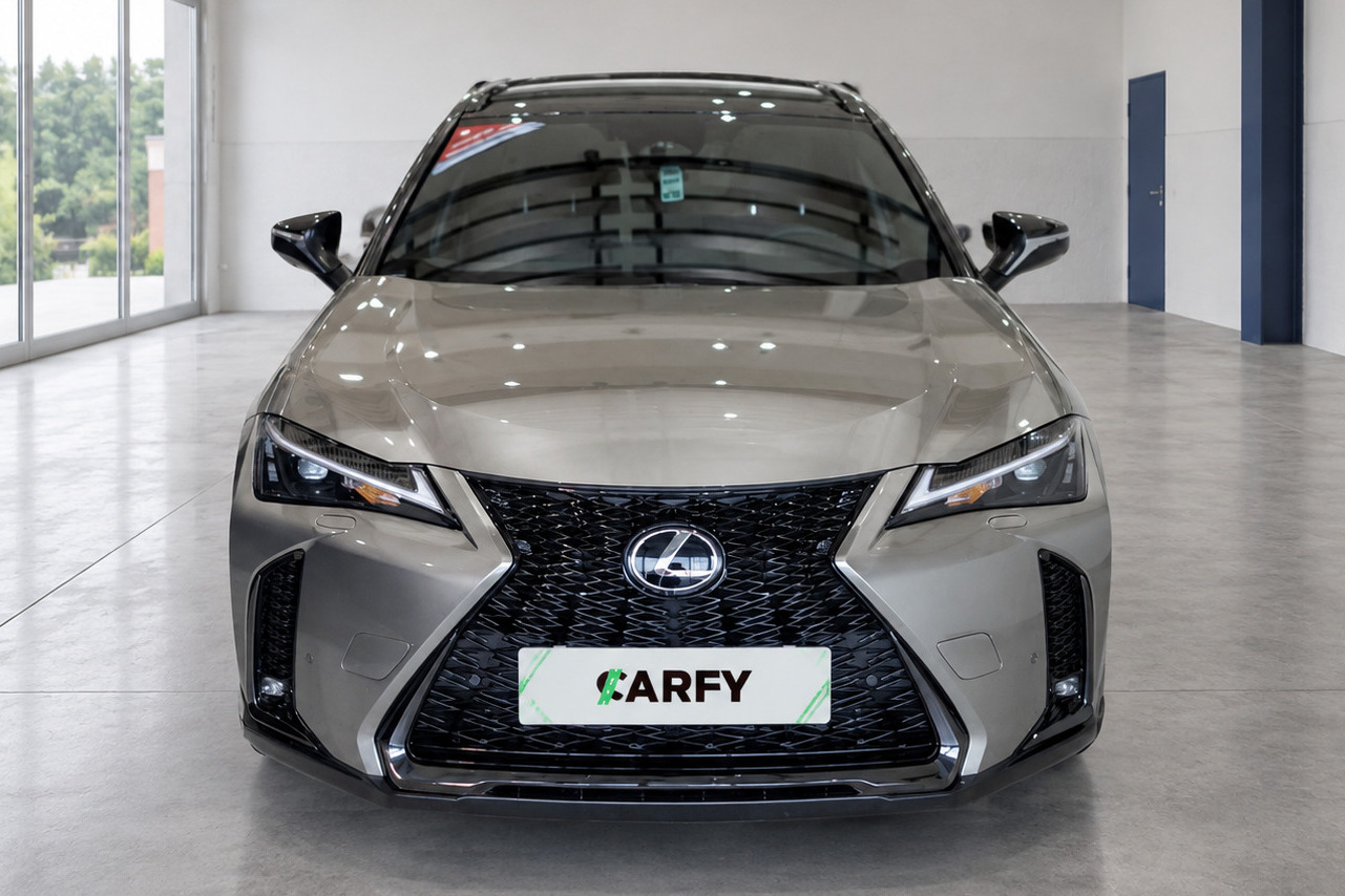 Lexus UX 300h F Sport Design AWD, widok 1