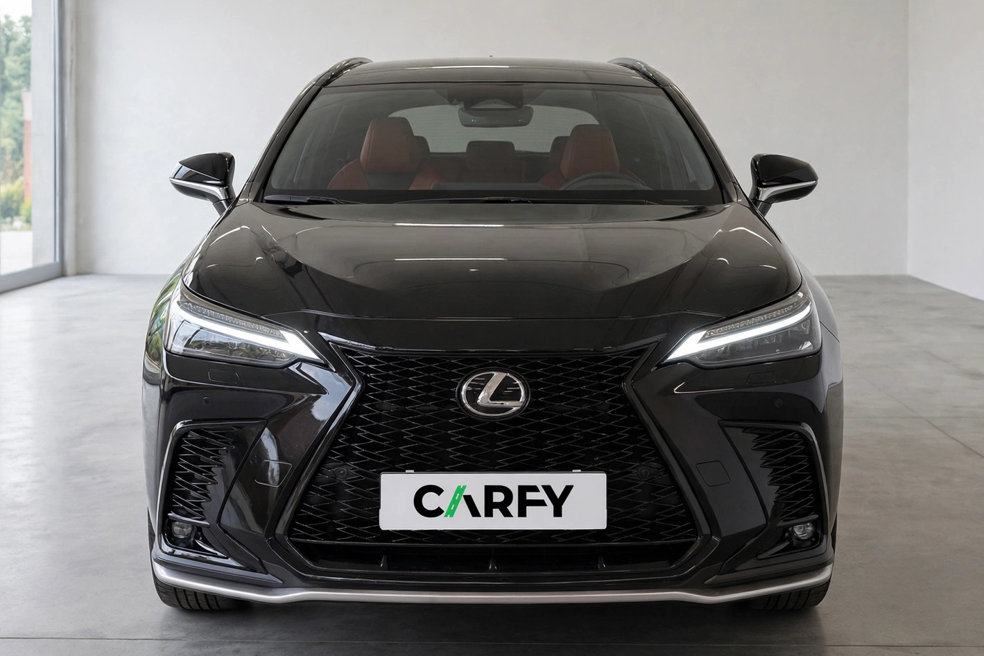 Lexus NX 350h F Sport AWD, вид 1