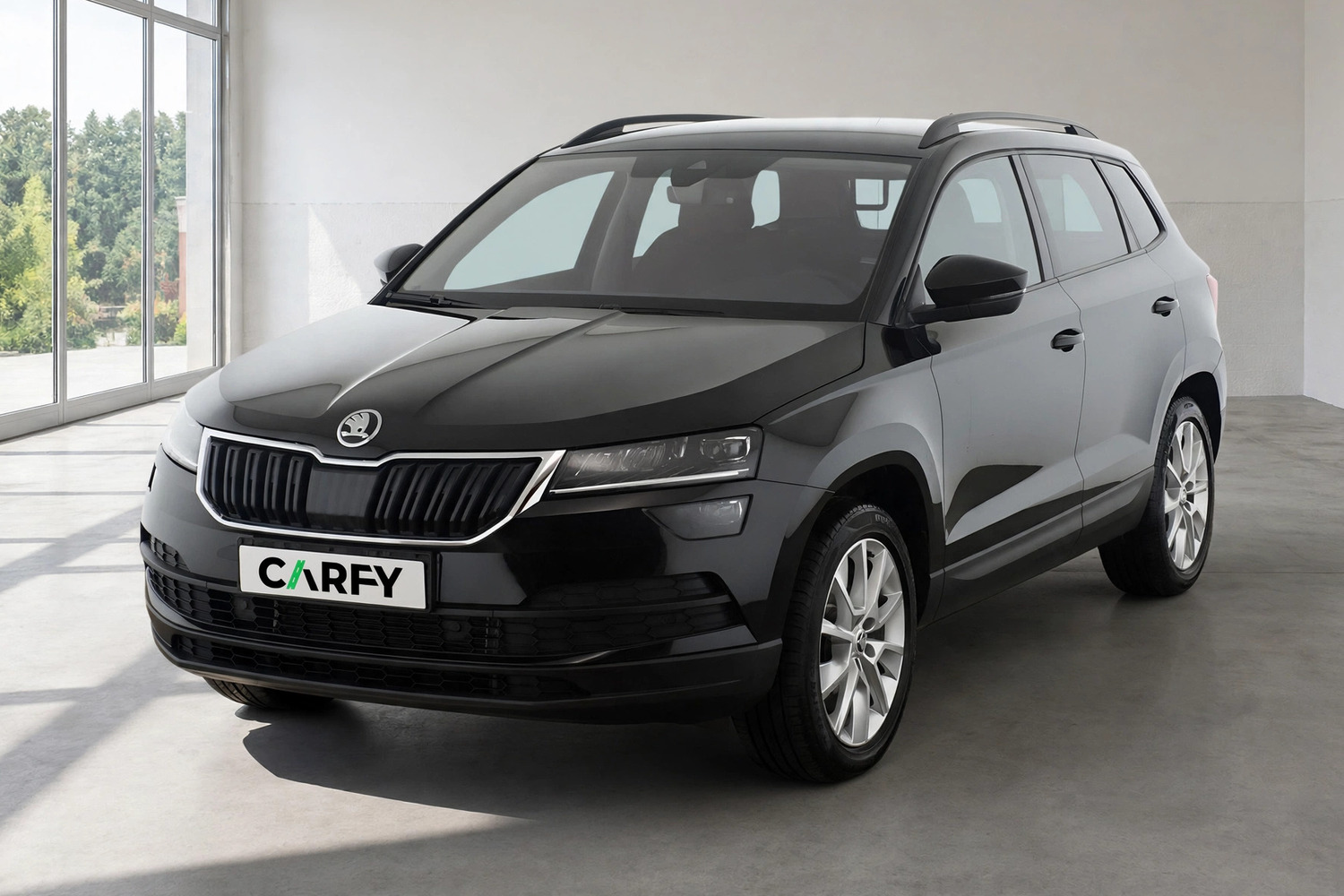 Skoda Karoq 2.0 TDI SCR 4x4 Style DSG, вид 1
