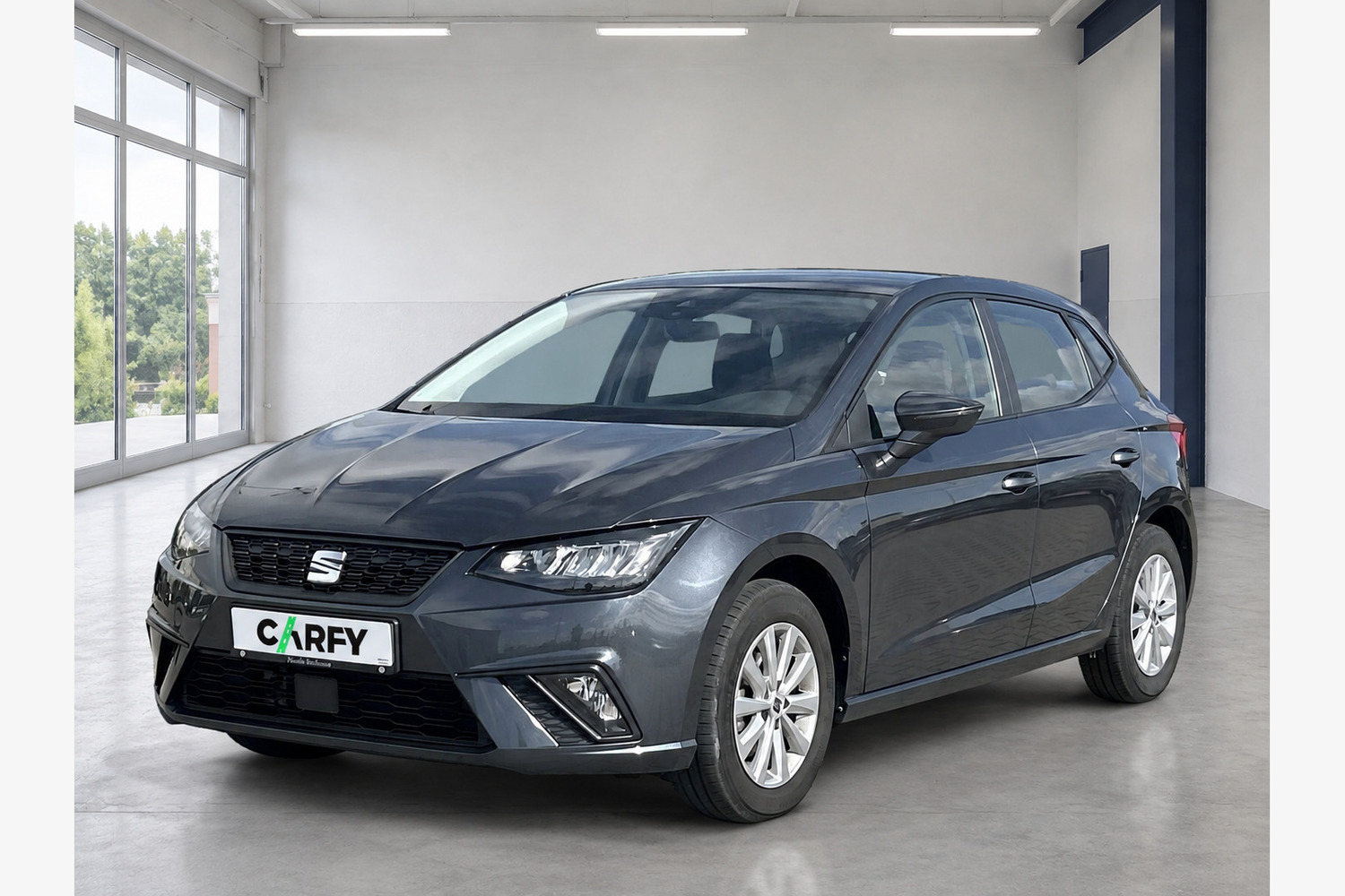 Seat Ibiza, widok 1