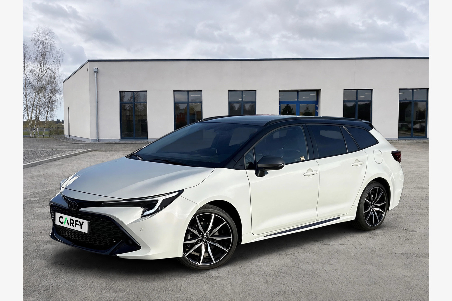 Toyota Corolla, вид 1