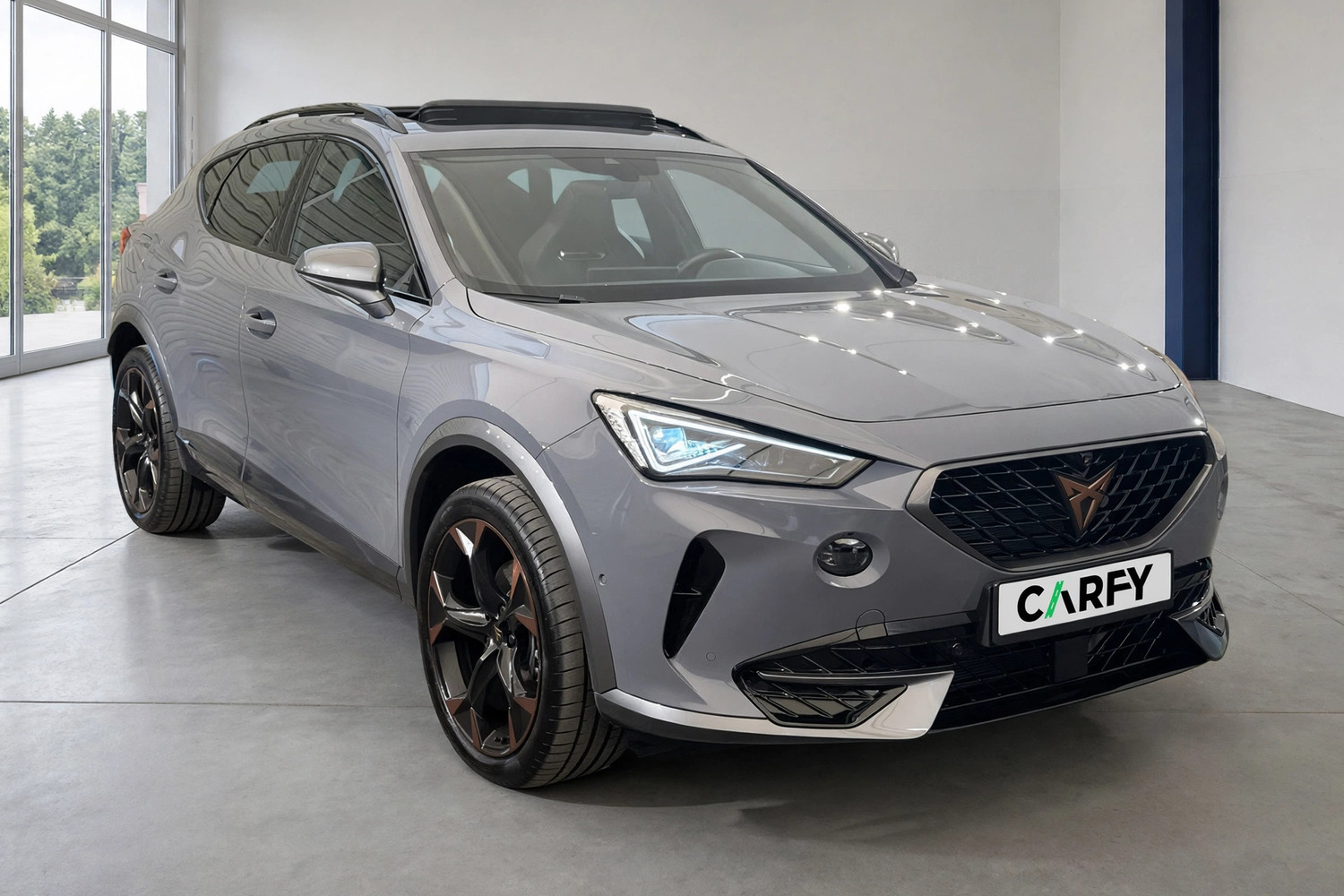 Cupra Formentor 2.0 TSI 4Drive DSG, Ansicht 1