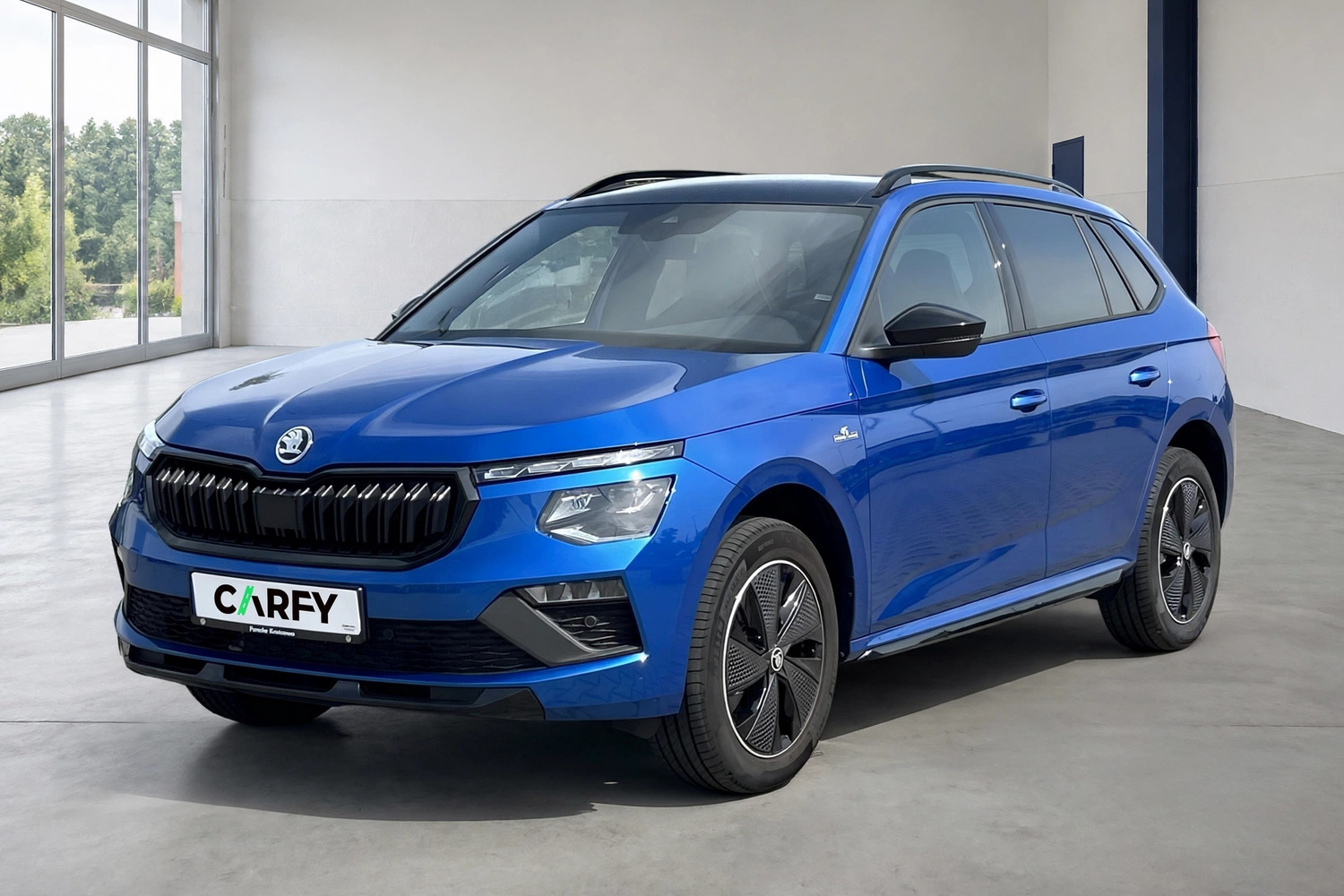 Skoda Kamiq, вигляд 1