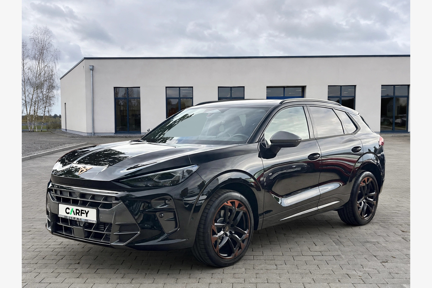 Cupra Terramar 2.0 TSI 4Drive VZ DSG, widok 1