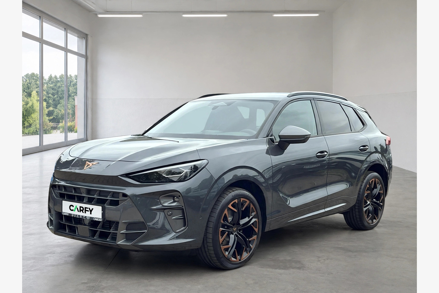 Cupra Terramar 2.0 TSI 4Drive VZ DSG, widok 1