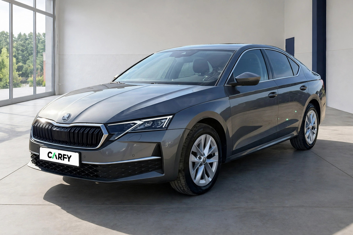 Skoda Octavia 2.0 TDI Selection DSG, widok 1