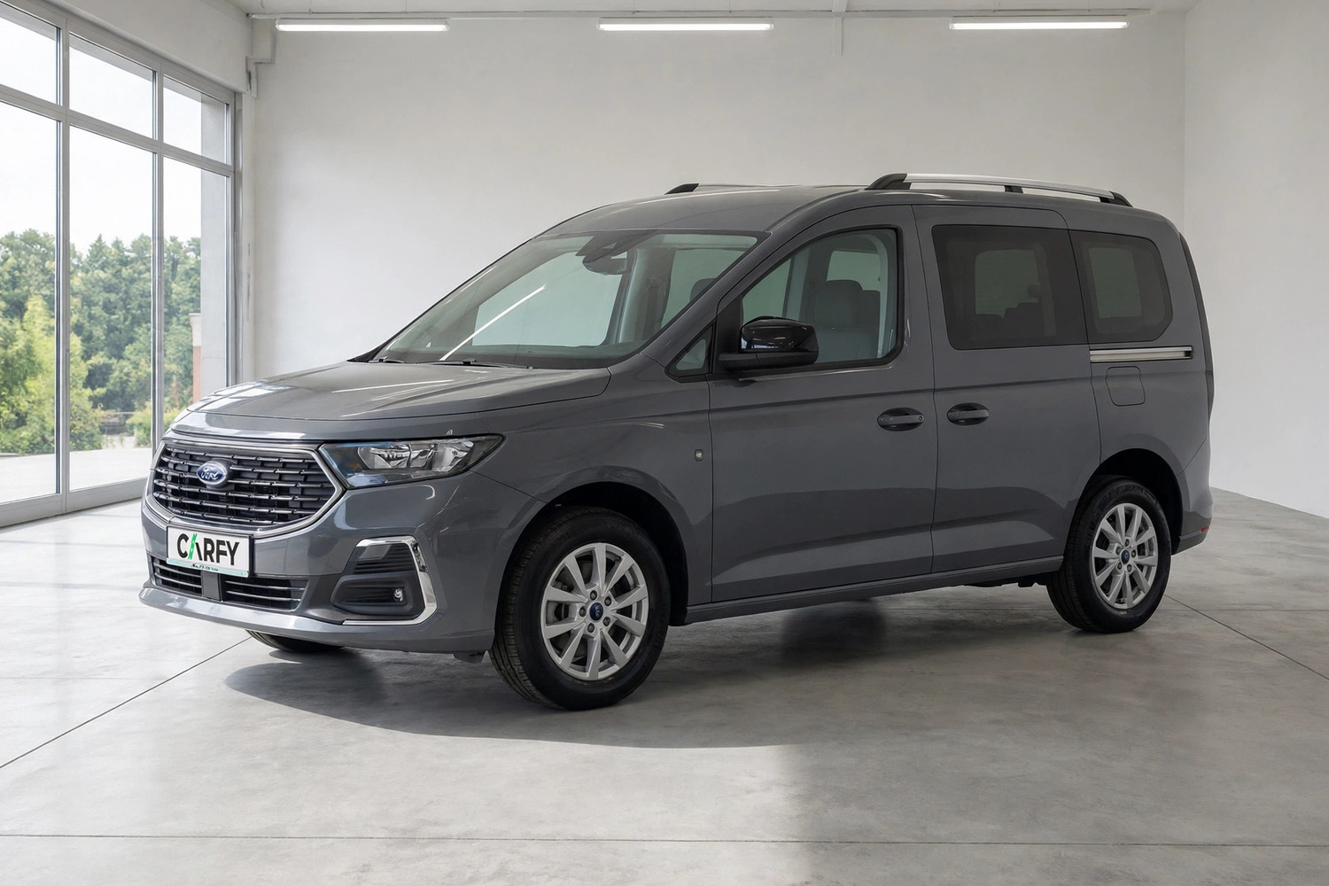Ford Tourneo Connect, вид 1