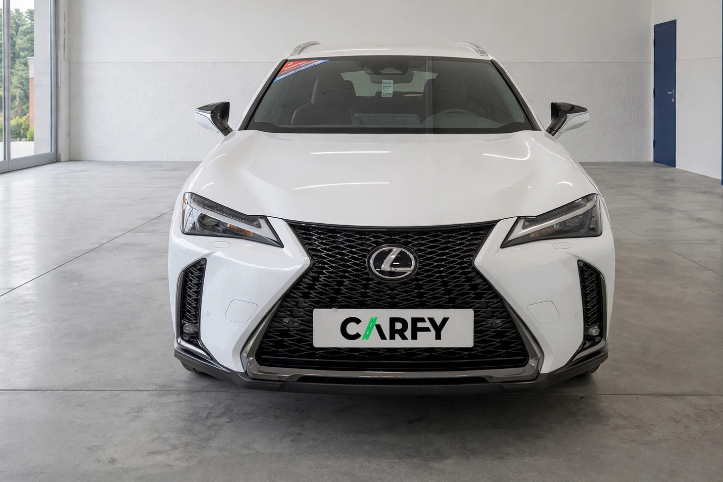 Lexus UX 300h F Sport Design, widok 1