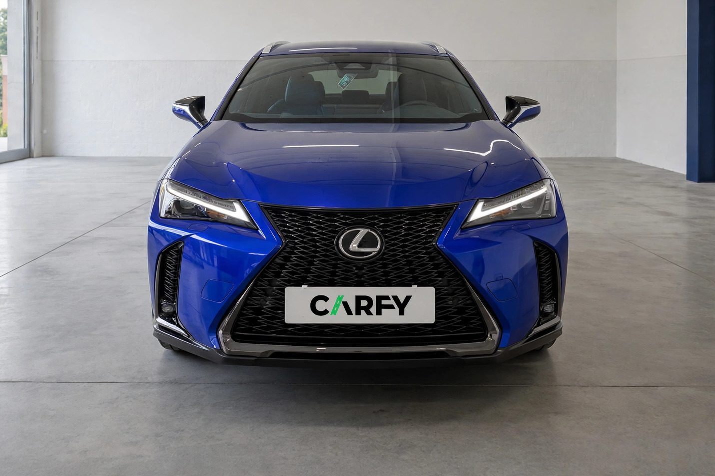 Lexus UX 300h F Sport Design, widok 1