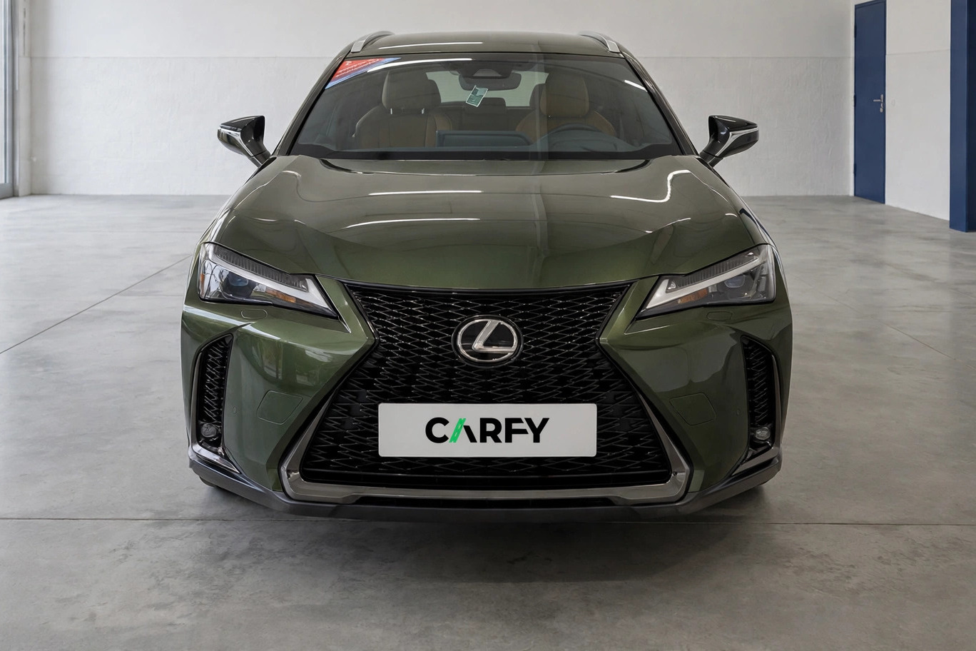 Lexus UX 300h F Sport Design, widok 1